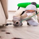 Professional Pest Control Visit in Manchester: What to Expect?