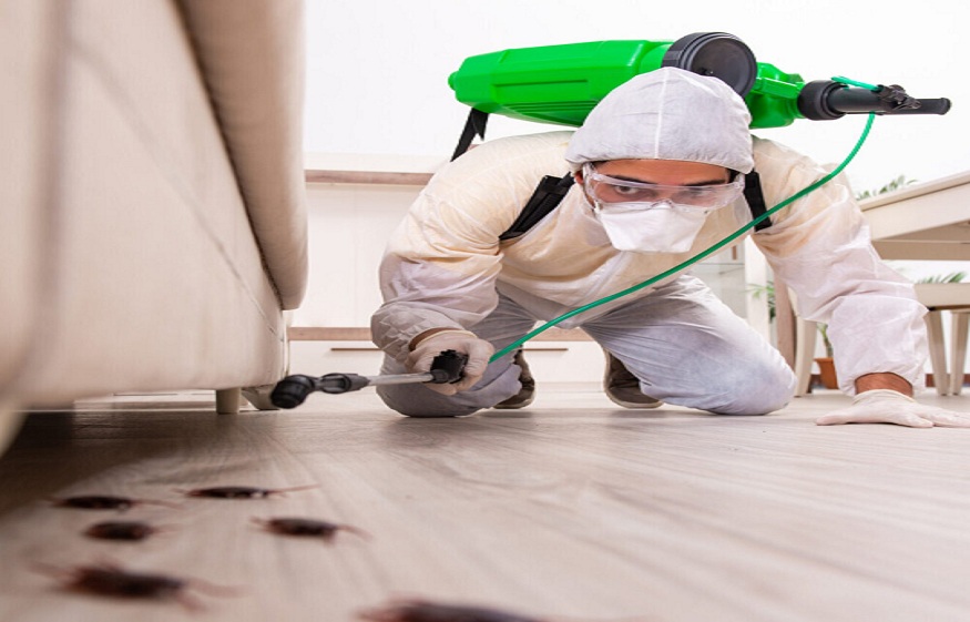 pest control