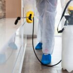 Hidden Dangers: Health Risks of Rodent Infestations and How Professional Control Can Help