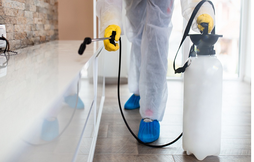 Indianapolis exterminator