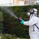 How to Prevent Pests from Entering Your Home Through Doors and Windows in Four Corners