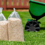 Transform Your Outdoor Space with Expert Dacula Lawn Care Strategies